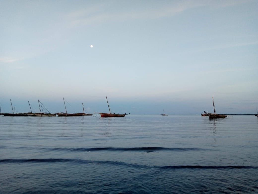 Mozambican navy accused of killing 13 fishermen off Mocímboa da Praia