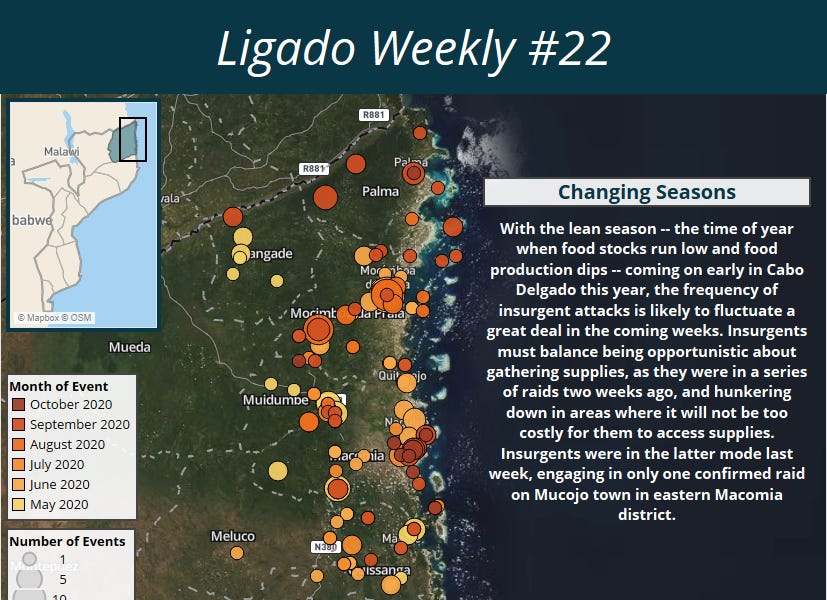 Health minister tests positive for covid-19; IMF predicts recession for Mozambique