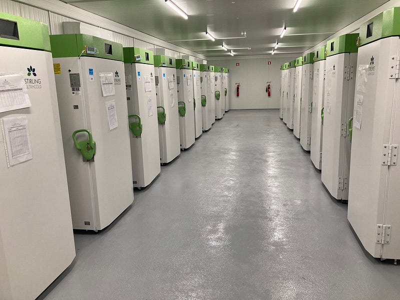 Face masks no longer compulsory in Mozambique; At least one killed in insurgent incursion into Chiure