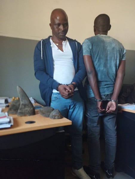 Former labour minister Taipo jailed for 16 years; Mozambique “could import fuel from Russia to reduce costs”